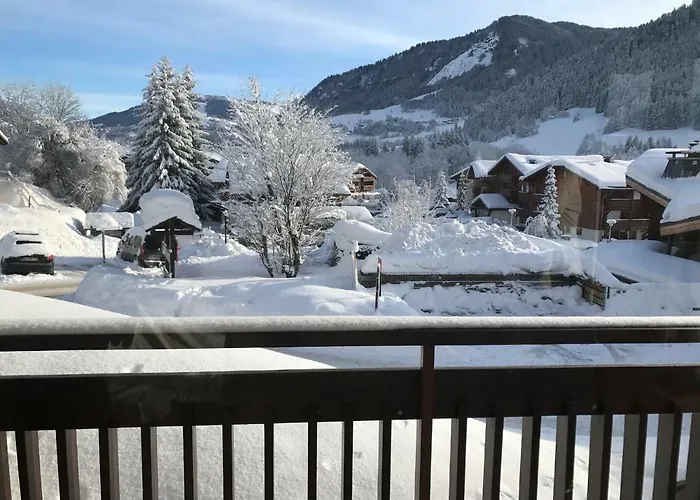 Lejlighed Le Clos D'arly Praz-sur-Arly